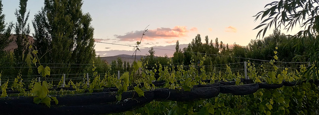 Origen Chubut CIelos de Gualjaina