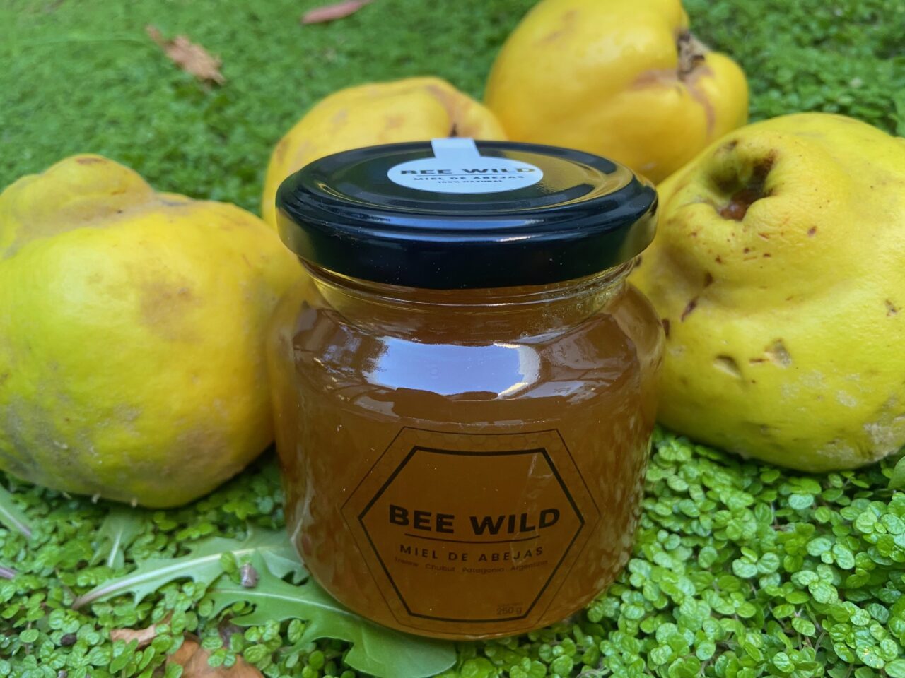 Origen Chubut "Bee Wild"