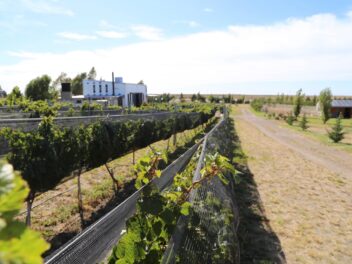 Origen Chubut Finca Caballo Blanco