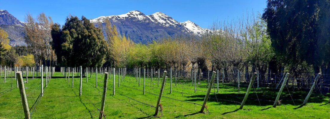 Origen Chubut - Chacra Baruk