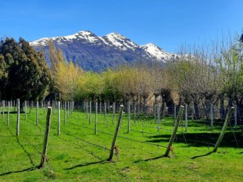 Origen Chubut - Chacra Baruk