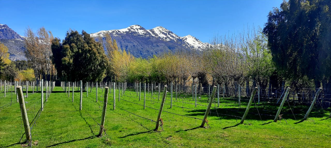 Origen Chubut - Chacra Baruk