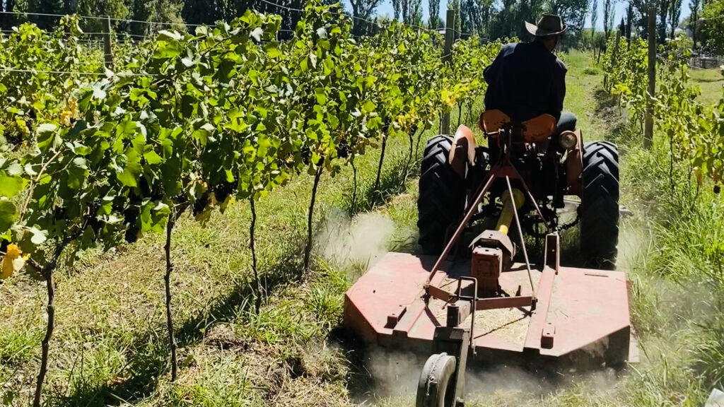 Origen Chubut "Coslett"