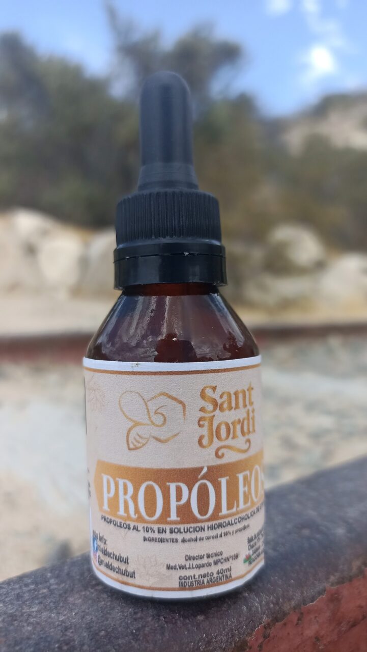 Origen Chubut "Miel de Chubut Sant Jordi"