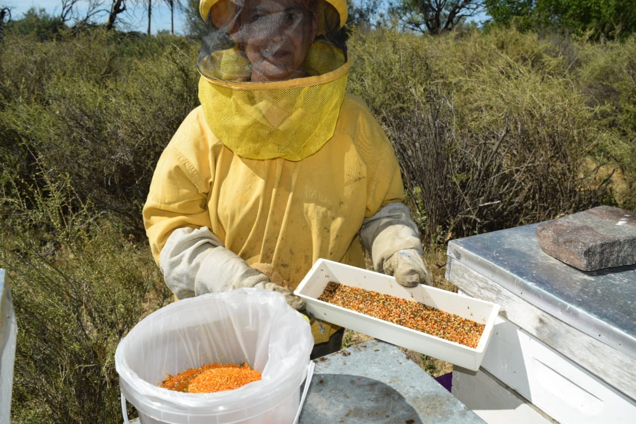 Origen Chubut "Miel de Chubut Sant Jordi"