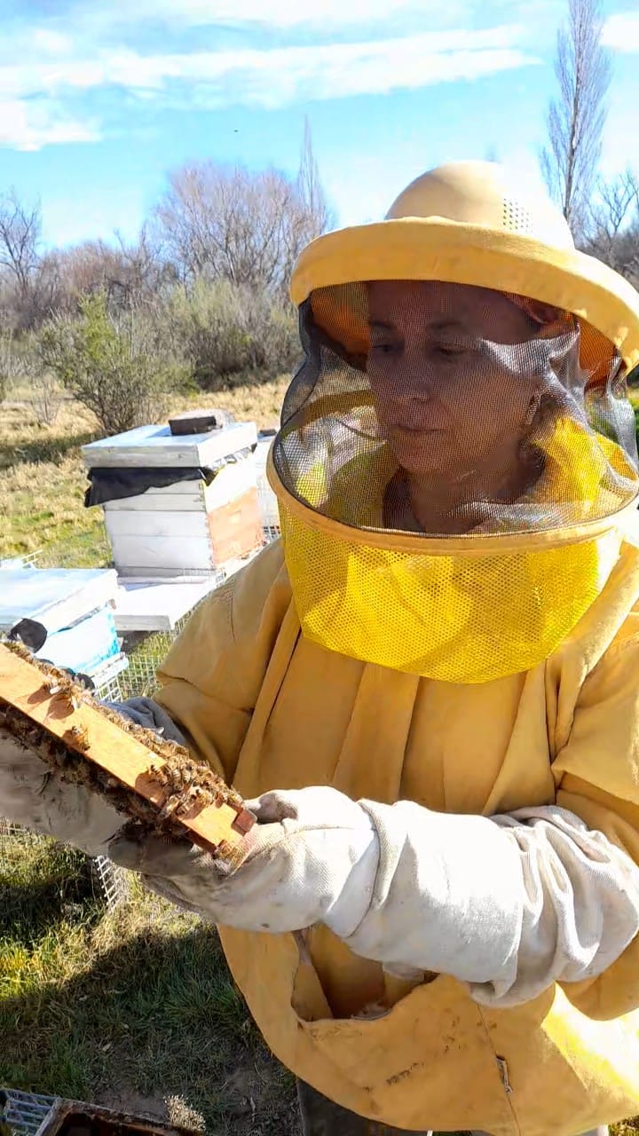 Origen Chubut "Miel de Chubut Sant Jordi"