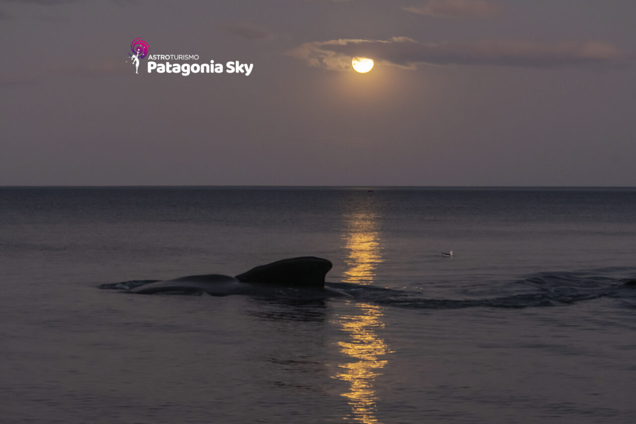 Origen Chubut "Patagonia Sky Astroturismo"