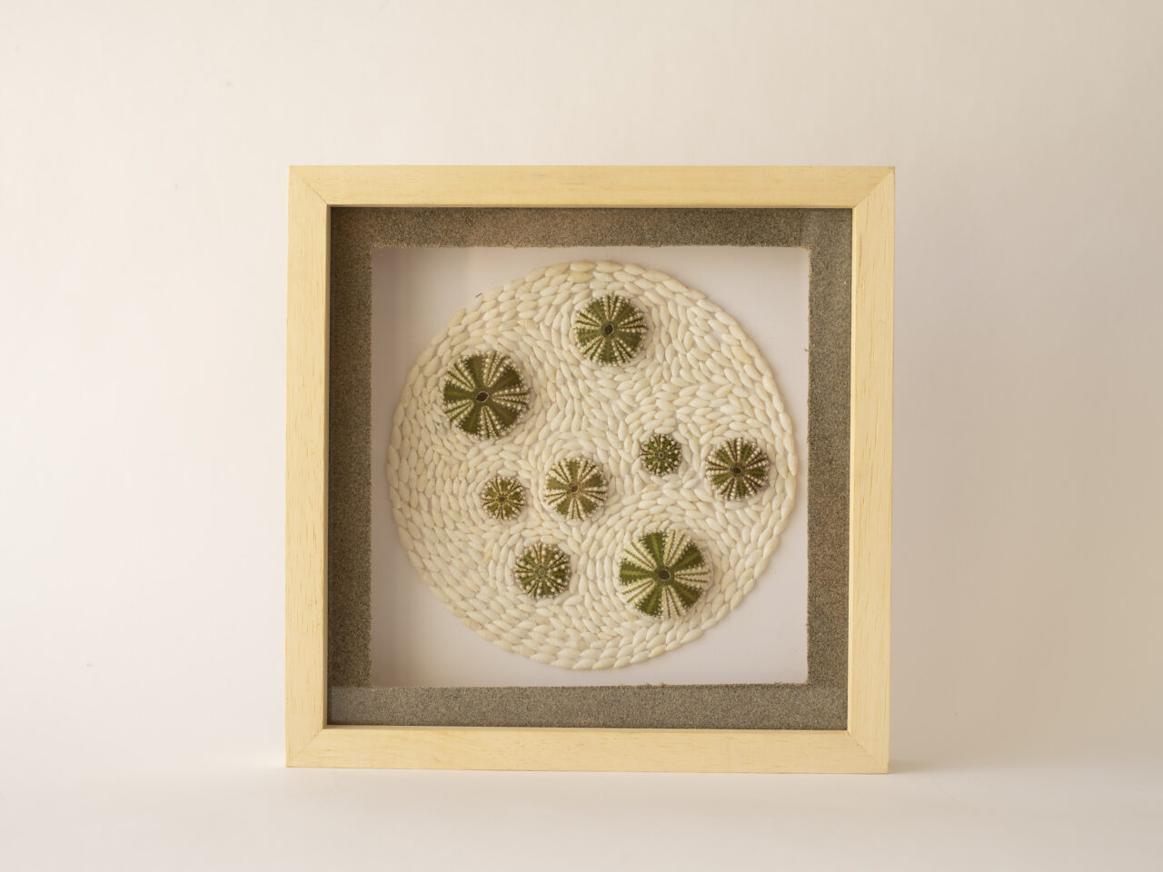 Origen Chubut "CaracolArt"