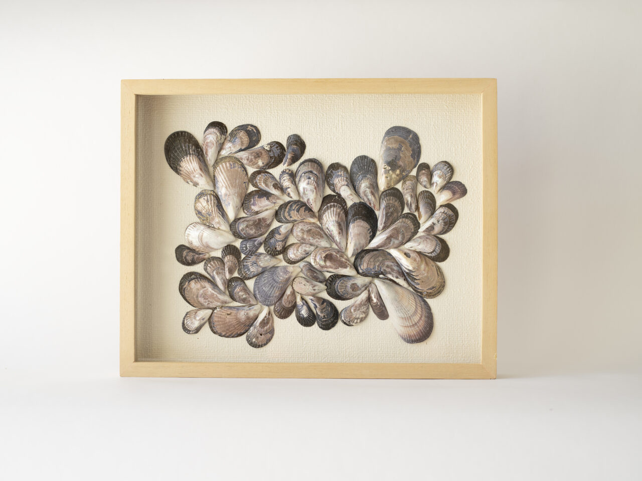 Origen Chubut "CaracolArt"