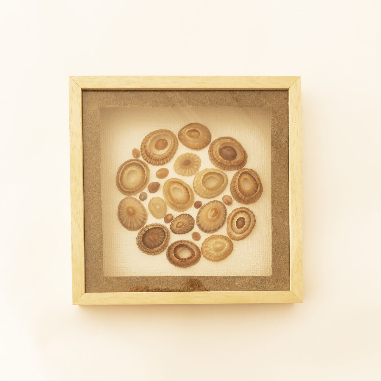 Origen Chubut "CaracolArt"