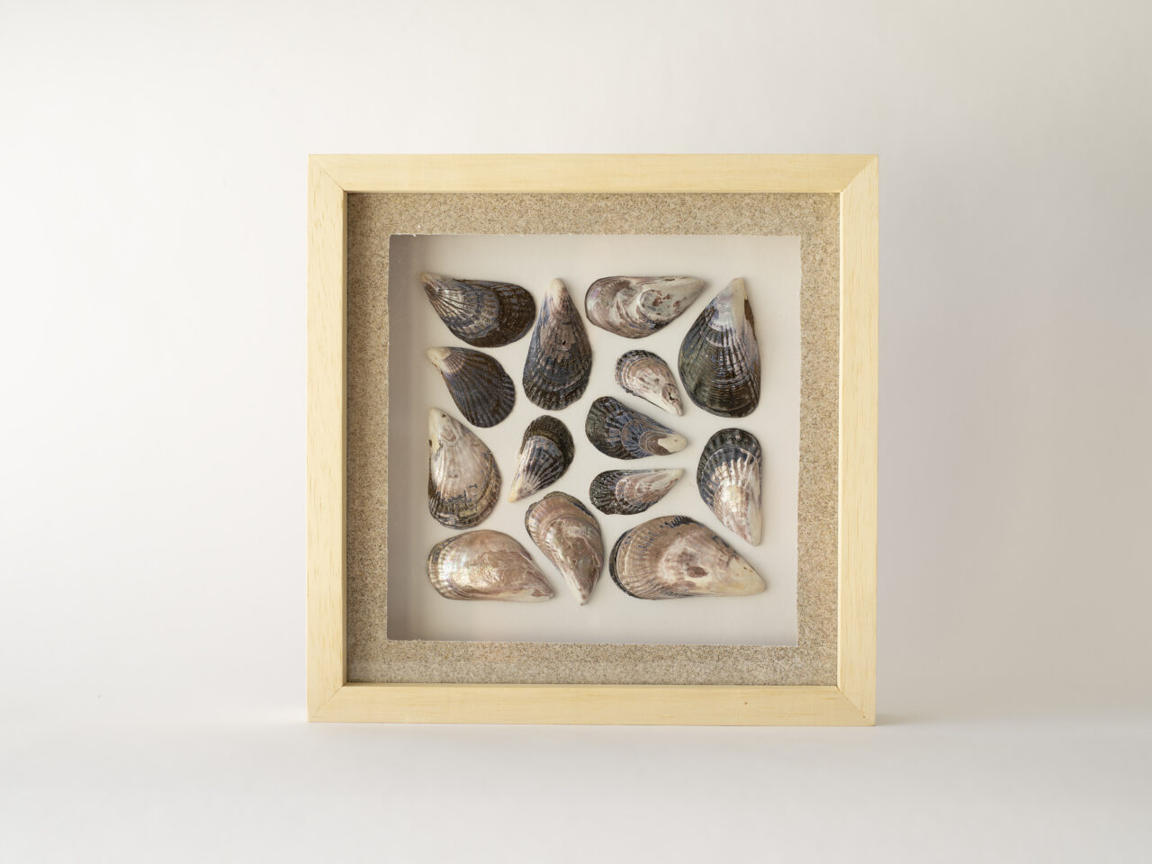 Origen Chubut "CaracolArt"