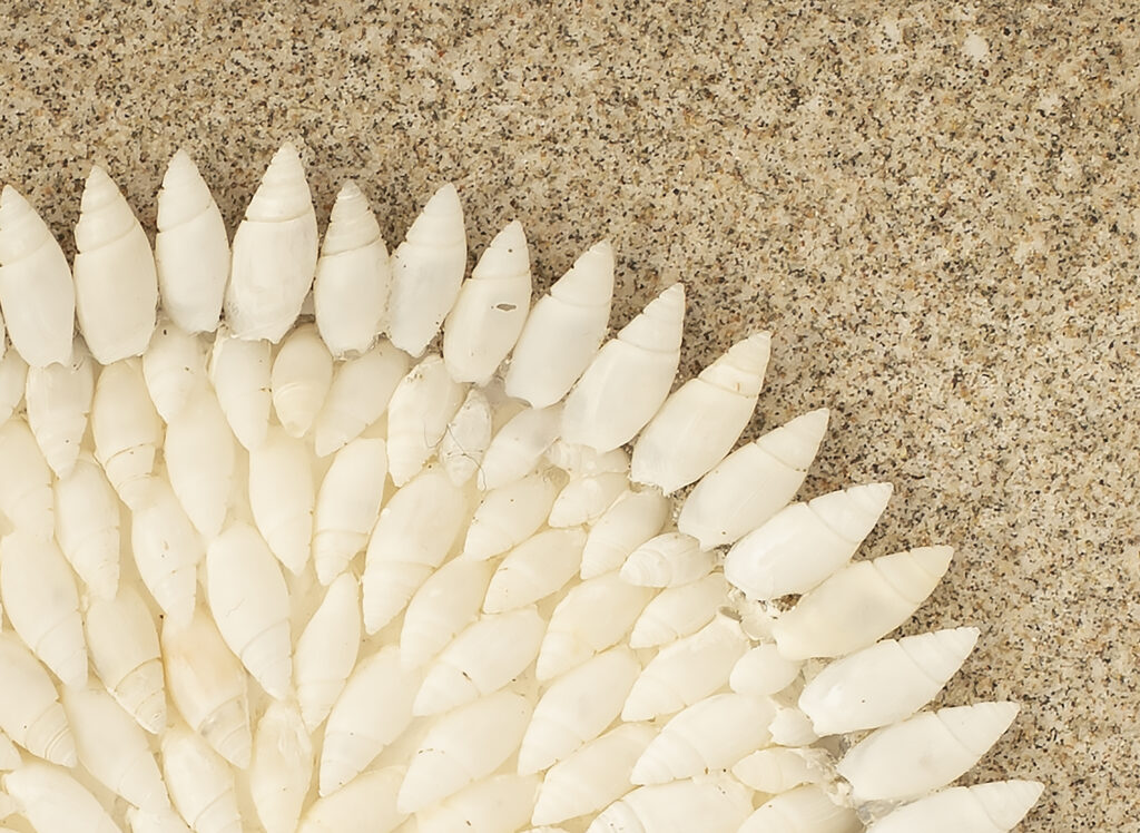 Origen Chubut "CaracolArt"