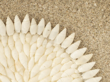 Origen Chubut "CaracolArt"