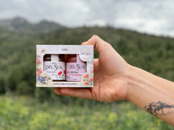 Origen Chubut "Del Sur"