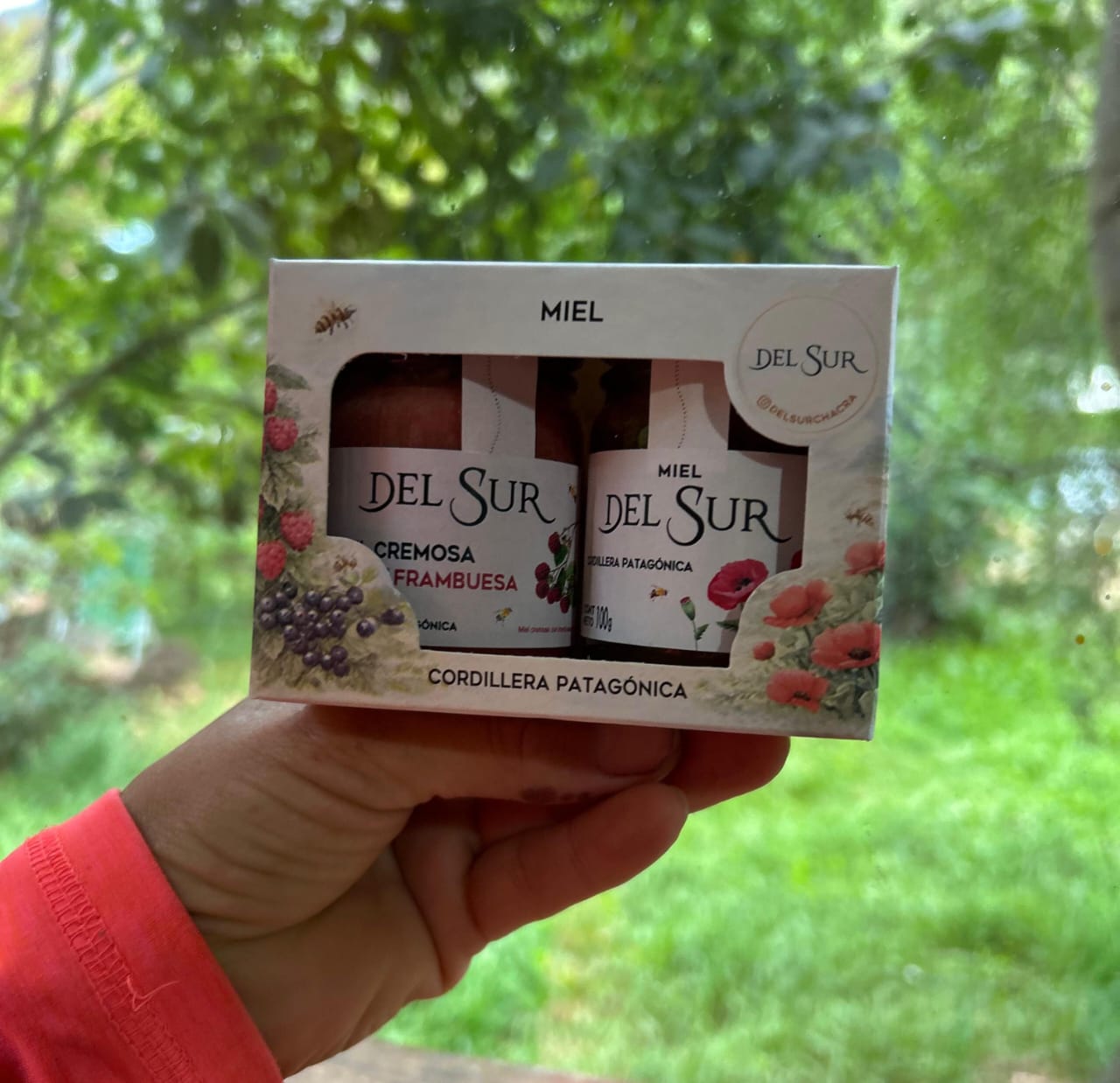 Origen Chubut "Del Sur"