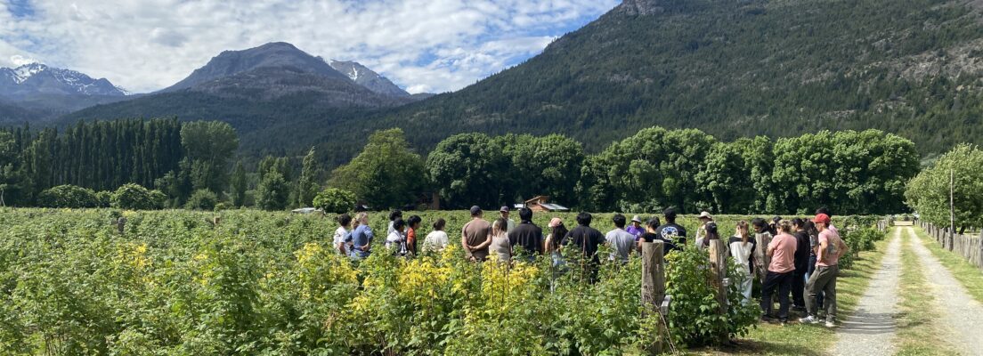 Origen Chubut "LatiduSur Berries"