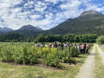 Origen Chubut "LatiduSur Berries"