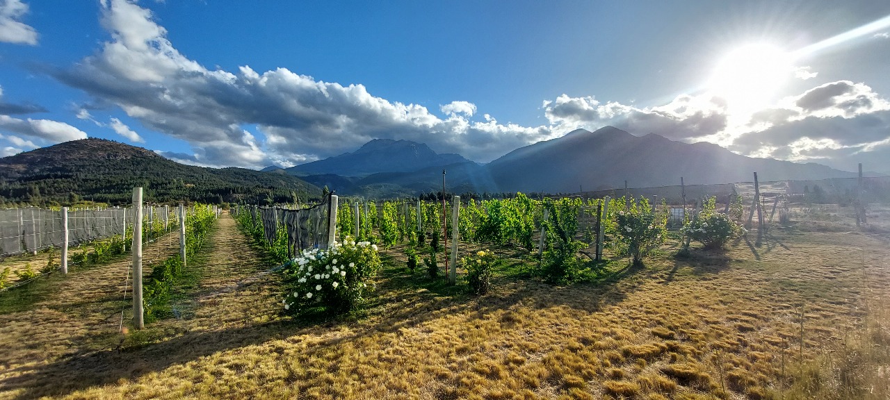 Origen Chubut "Callejón del Viento"