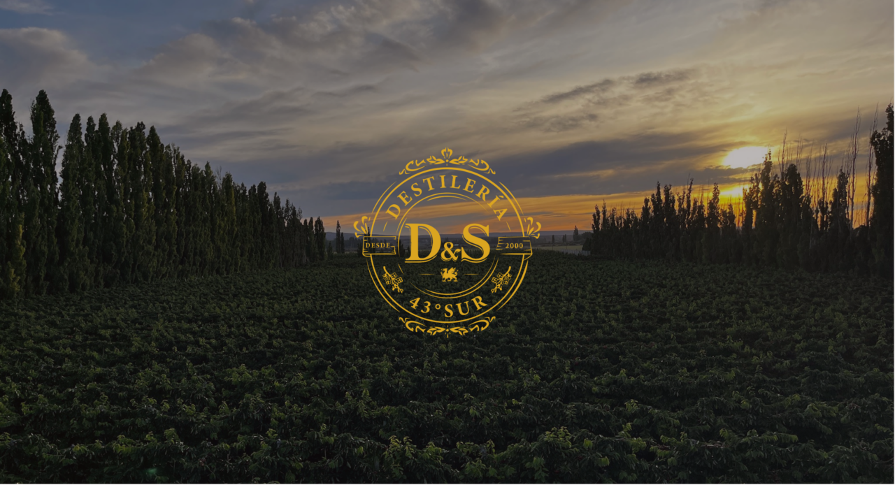 Origen Chubut "Destilería D&S"