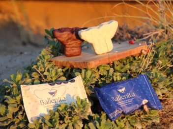 Origen Chubut "Ballenita"